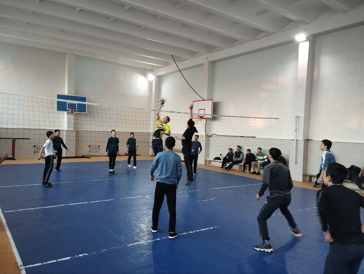 Sport zali